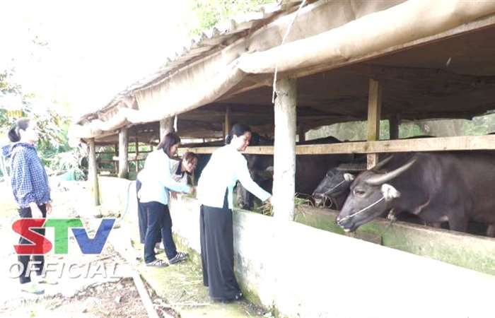 Hỗ trợ khởi nghiệp, tăng nguồn vốn tín dụng chính sách giúp chị em vươn lên thoát nghèo